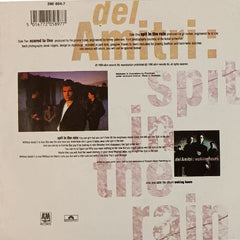 Del Amitri – Spit In The Rain - Vinyl Records