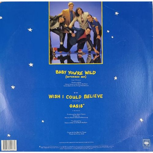 Mental As Anything – Baby You're Wild - Vinyl Records